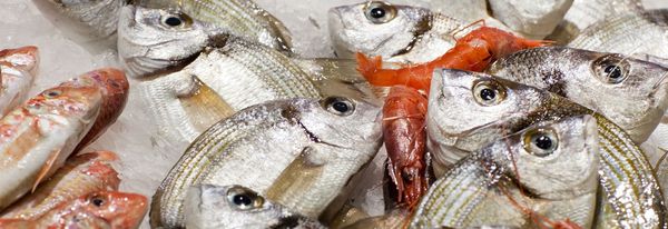 Fresh Whole Whitebait from Greece supplied by Genfroco Ltd - Whitebait Smelt (=Allosmerus elongatus) Frozen Smelt