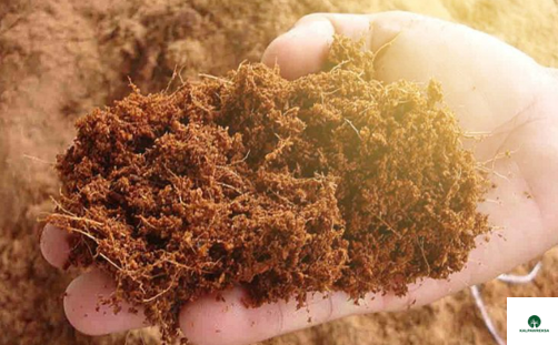 Cocopeat from 인도네시아 supplied by PT Kalpawreksa Global Perkasa - As per customer's request 기타 신선 코코넛