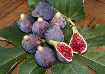 Coll de Dama Figs from 스페인 supplied by Agricola Tupinaire, S.L. - Purple 말린 무화과