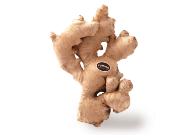 Ginger from Israel supplied by Tekoa Farm - Mature Ginger Whole Ginger