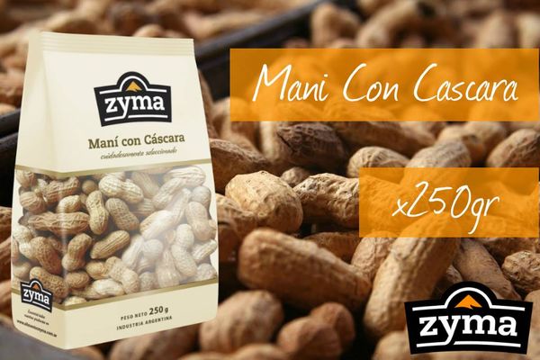 Peanut Kernel from 아르헨티나 supplied by Alimentos Zyma S.R.L. - With skin 땅콩 알맹이