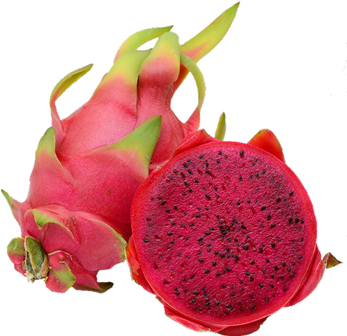 Dragon Fruit from 스페인 supplied by axaolivos - Red 신선 용과