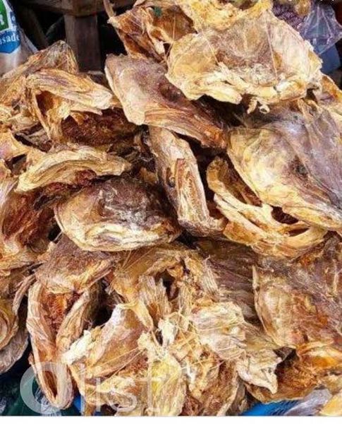 Fish from 나이지리아 supplied by ABK Foods Exports - 기타 넙치류 생선
