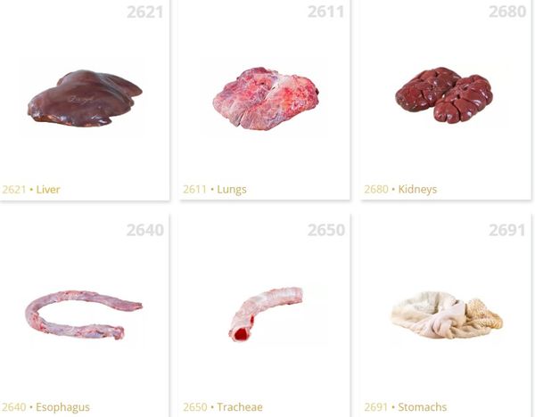 Beef Offal from 폴란드 supplied by ZACZYK - Offal - Liver 내장
