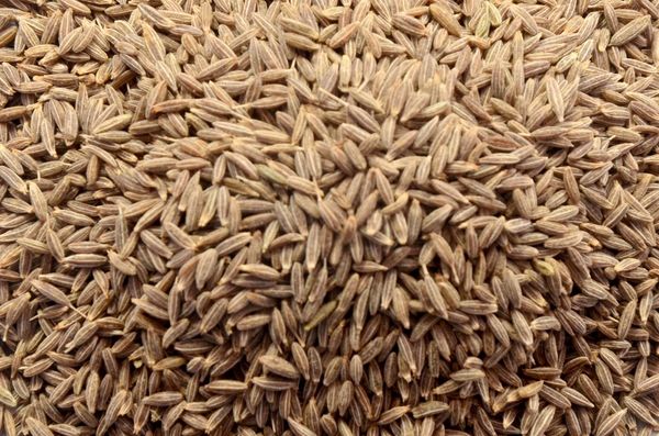 CUMIN from 인도 supplied by FARMSON BIOTECH - Unhulled 커민 씨