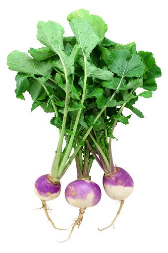 Turnips from 미국 supplied by Coosemans Worldwide, Inc - Whole 순무