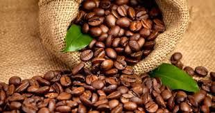 Coffeee wholesaler ( Raw , grounded or roasted ) from 캐나다 supplied by Zola Superfoods - Prime 생원두