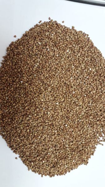 Buckwheat Grits from Russia supplied by Agro-Alliance Ltd - Grits Buckwheat