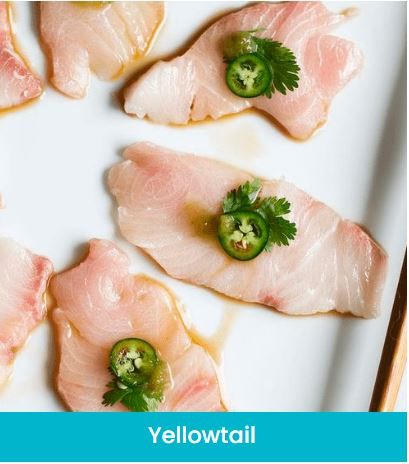 Yellowtail from South Africa supplied by Fish 4 Africa - Skinless (=Without Skin) Frozen Mackerel
