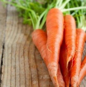 Orange Carrot from 튀르키예 supplied by Narence Gida - Chantenay 신선 당근