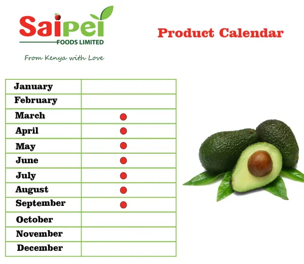 Hass Avocados from 케냐 supplied by Saipei Foods Ltd. - 짙은 녹색 신선 아보카도