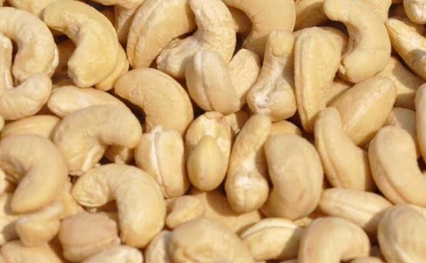 Cashew nuts from Tanzania supplied by Enlight Africa Market - 240 (≤530 kernels/kg) Raw Cashew Nut