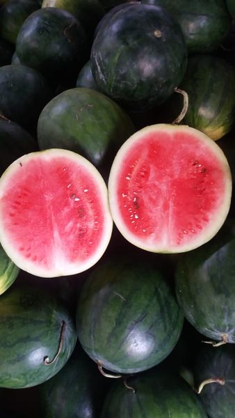 Watermelon from 인도네시아 supplied by PT. Medan Alam Sentosa Indonesia - As per customer's request 기타 과일 가공품