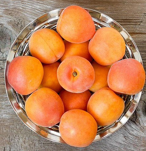 Apricot from 오스트리아 supplied by Feldbacher Fruit Partners GmbH - Fresh (=Chilled) 신선 살구