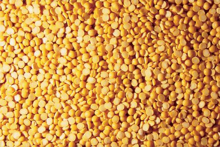 Yellow Pea from Canada supplied by AGT Food and Ingredients - CA - Split Dried Common Pea