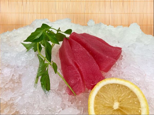 Tuna from 인도네시아 supplied by PT. Sari Tuna Makmur - Saku 참치