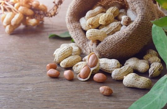 Peanut from 미국 supplied by AGRI LLC - Mesh Bags (10kg) (=Net) 땅콩 알맹이
