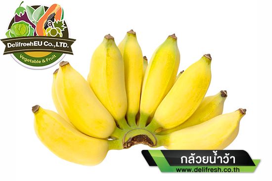 Pisang Awak Banana from Thailand supplied by DELIFRESHEU CO., LTD. - Fresh (=Chilled) Fresh Banana