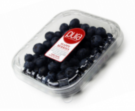 Fresh Whole Blueberry from Spain supplied by THE FRUITMAKERS - Blue Fresh Blueberry