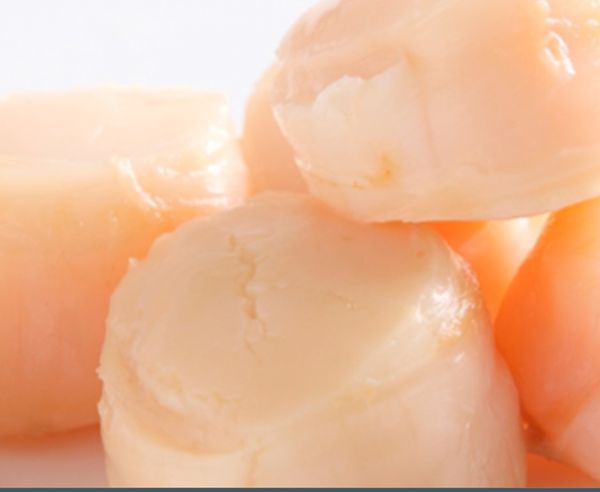 Frozen Scallop from 미국 supplied by 7 Seas Foods Int - Meat Only - Roe Off 냉동 가리비