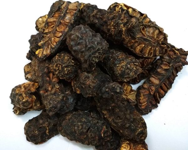 Dried Noni Fruit from 베트남 supplied by 99 Gold Data Processing Trading Company Limited - Dried 노니