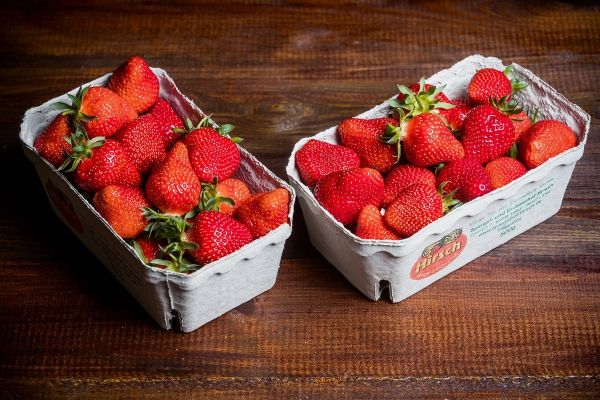 Fresh Strawberry from Germany supplied by Jörg Hirsch- Spargel- und Erdbeerhof Hirsch - Lambada Fresh Strawberry