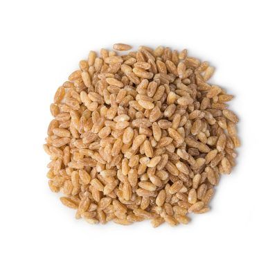 Wheat from Canada supplied by FARINART INC. - Dried Wheat