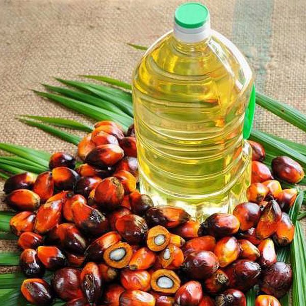 Palm Kernel Oil from United States supplied by Thin Oil Products - RBD (=Refined, Bleached, and Deodorized) Palm Kernel Oil
