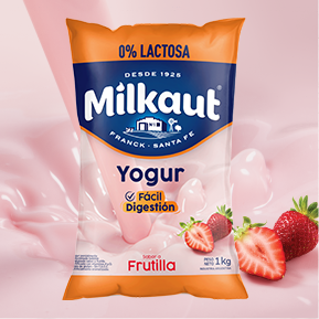 Yoghurt from 아르헨티나 supplied by Milkaut SA - Powder 요구르트
