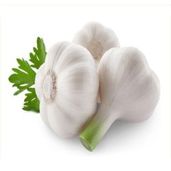 Fresh Garlic from China supplied by Wuhan Sier International Co., Ltd - White Fresh Garlic