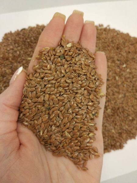 Flaxseed from 카자흐스탄 supplied by ExportGrain CКО - As per customer's request 아마 씨