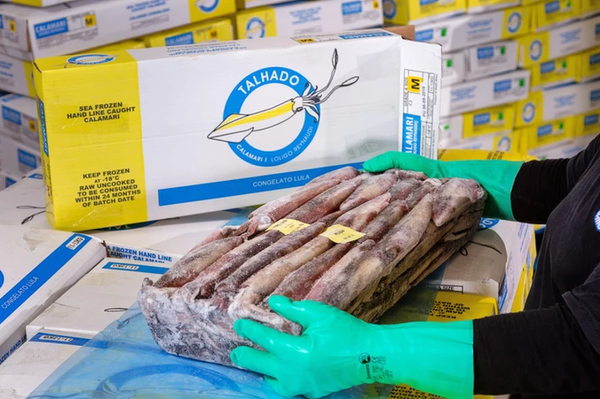 Squid from South Africa supplied by Talhado Fishing Enterprises (Pty) Ltd - Skin On Frozen Squid