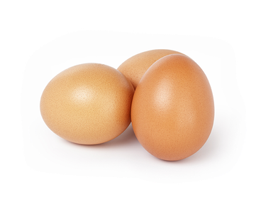 Fresh Chicken Egg from 오스트리아 supplied by PREM Egg Production GmbH - In Shell 달걀