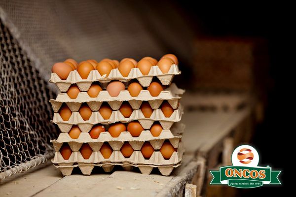 Chicken Egg from 루마니아 supplied by ONCOS GROUP - Fresh 달걀