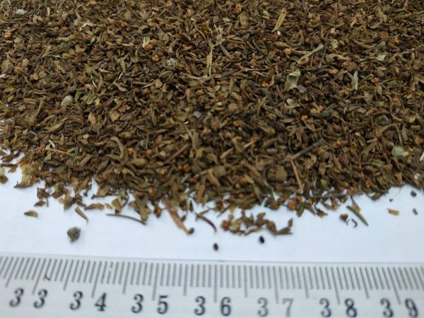 Summer Savory leaves from 폴란드 supplied by P.W. Rekord Józef Szwajkowski - Conventional 섬머세이보리