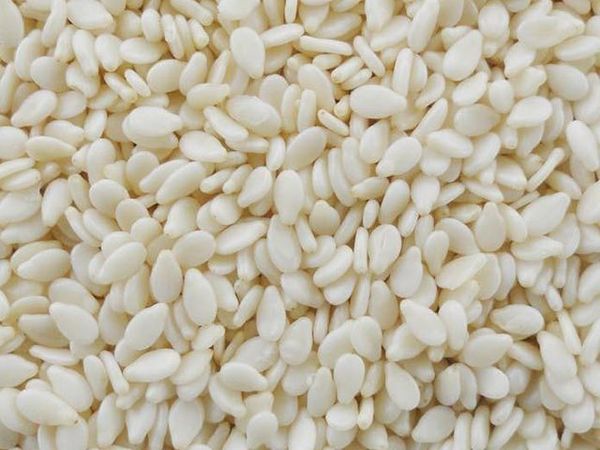 Hulled Sesame seeds from 인도 supplied by ORGANIC PRODUCTS INDIA - Veeral Agro Tech - Hulled 참깨