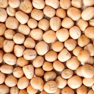 Pea from 아르헨티나 supplied by Phalaris Serranos S.A. - Dried (=Dehydrated) 말린 일반 콩