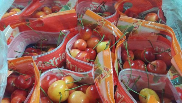 Cherry from United States supplied by Peterson Fruit Co., Inc - Light Red Fresh Sweet Cherry