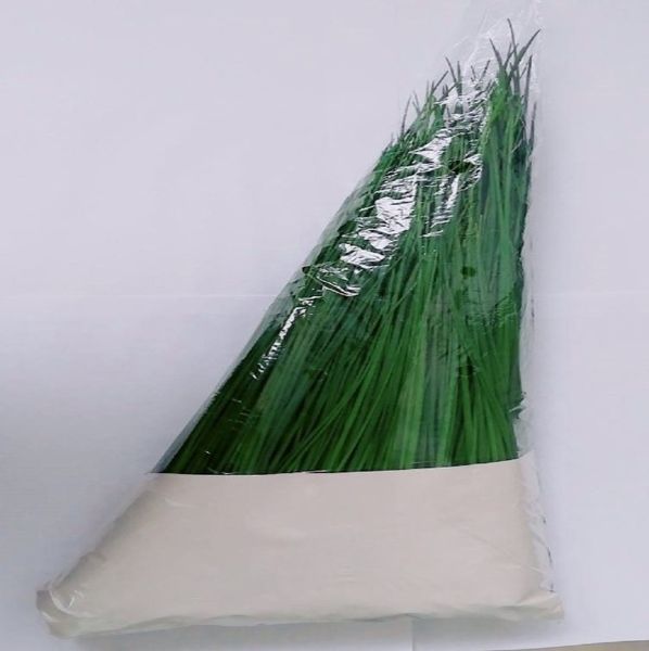 Chives from Colombia supplied by QUALITY COLOMBIAN HERBS SAS - green Chives