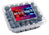 Blue Crop Blueberry from 칠레 supplied by RED & BLUE BERRIES LTDA - Carton Box (=Cardboard Box) 신선 블루베리