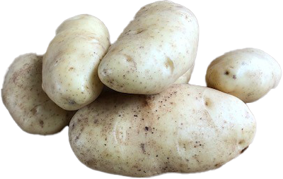 RUSSET from 호주 supplied by Yum Tasmanian - 갈색 신선 일반 감자