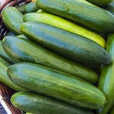 Fresh Cucumber – Best Price Hight Quality Fresh Cucumber from Cameroon supplied by AGRO VALLEY LIMITED - Raw Fresh Cucumber