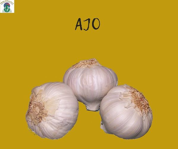 Garlic from 멕시코 supplied by Central Chilera S - Raw 신선 마늘