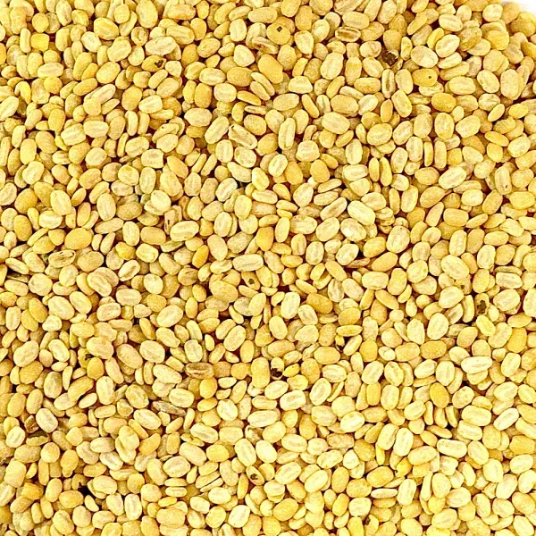 Mung Dal from United Arab Emirates supplied by Meerwali Food Industries Fze - Yellow Dried Mung Bean