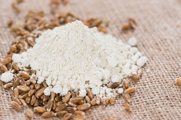 Spelt Flour from 스위스 supplied by Augsburger Gebrüder AG - High Quality 스펠트밀가루