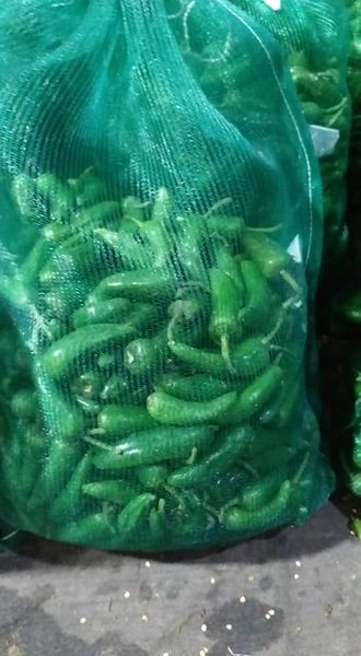 Green Chili from 파키스탄 supplied by Amin & Sons - Green 신선 고추
