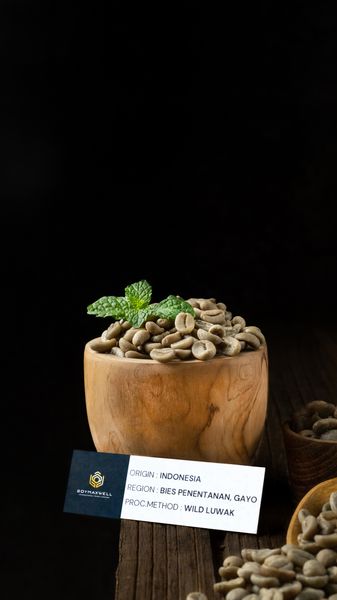 GAYO ARABICA WILD LUWAK from 인도네시아 supplied by Boymaxwell Indojaya Grup Ltd. - 상급 품질 생원두