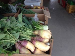 Turnips from 뉴질랜드 supplied by Fresh 2 You Limited - Whole 순무