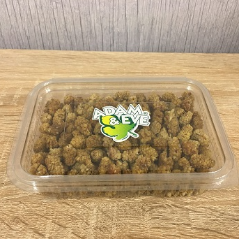 Dried Mulberries from 튀르키예 supplied by NATURA DRIED FRUITS A.S. - ADAM & EVE - Dried 말린 오디