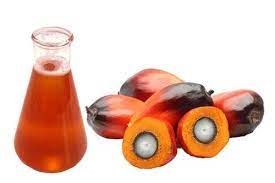 palm oil from Colombia supplied by Riopaila Castilla S.A. - Crude (=Unrefined) Palm Kernel Oil